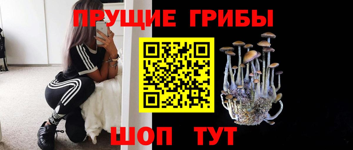 Лесной  Галлюциногенные грибы Psilocybe  где продают наркотики  Вход с VPN 